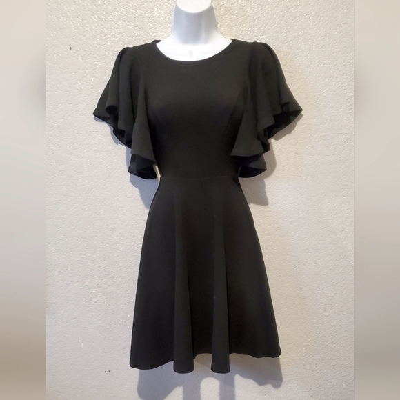 H&M Elegant Black Ruffled Sleeve Fit & Flare Dress Size XS - Picture 2 of 6